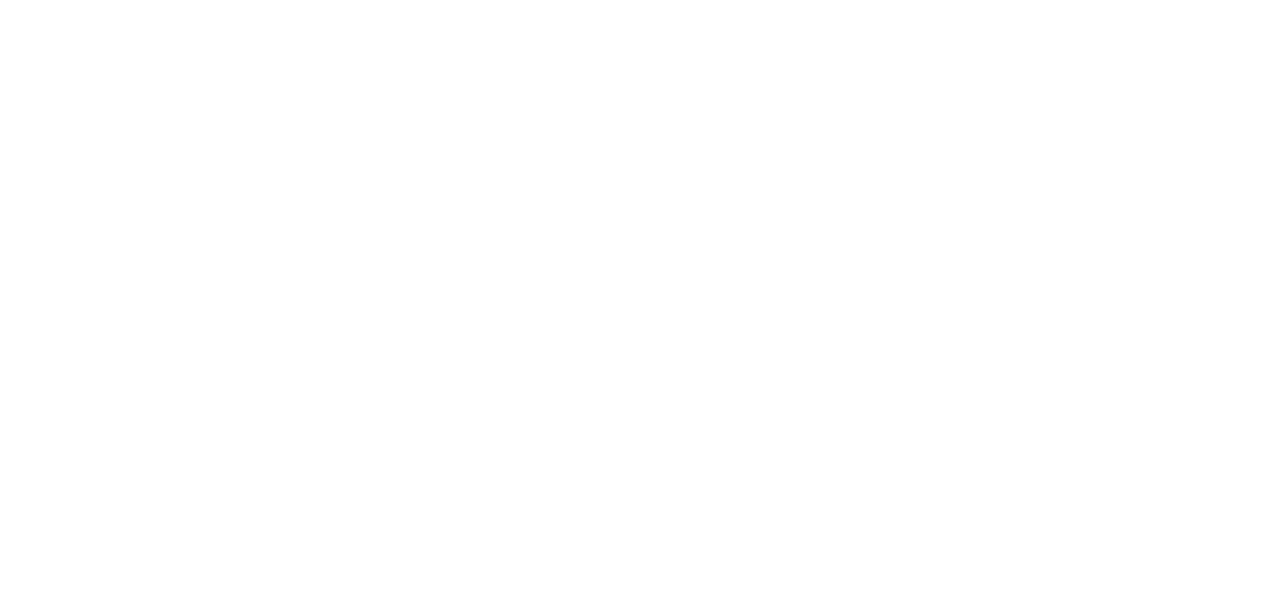 DHM-20